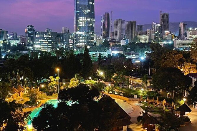 Addis Ababa at night, a lit park in the foreground and the towers of the centre behind