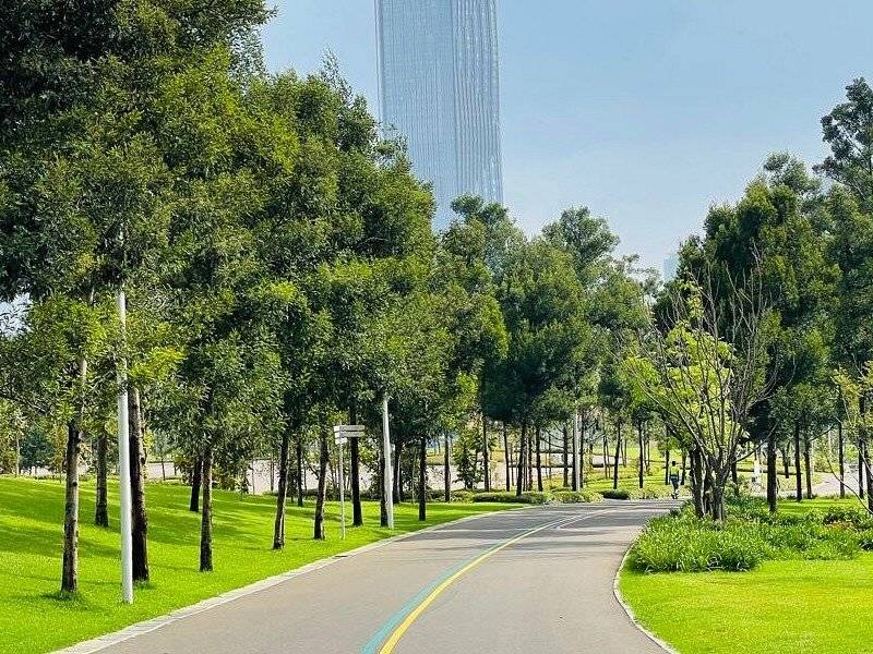 A cycle and walking path curving between young trees and cut lawns in a park in central Addis Ababa